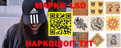 гидропоника Будённовск