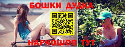 гидропоника Будённовск