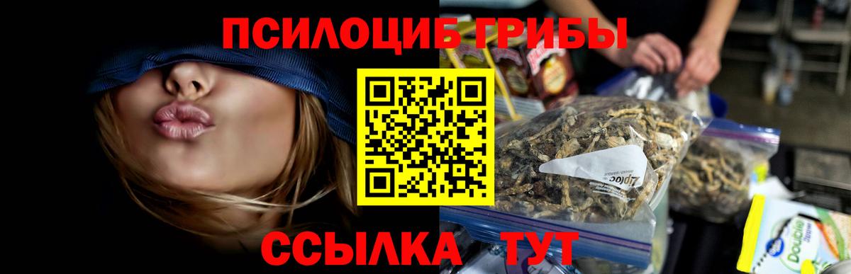 Пенза  Галлюциногенные грибы прущие грибы  Вход с VPN 