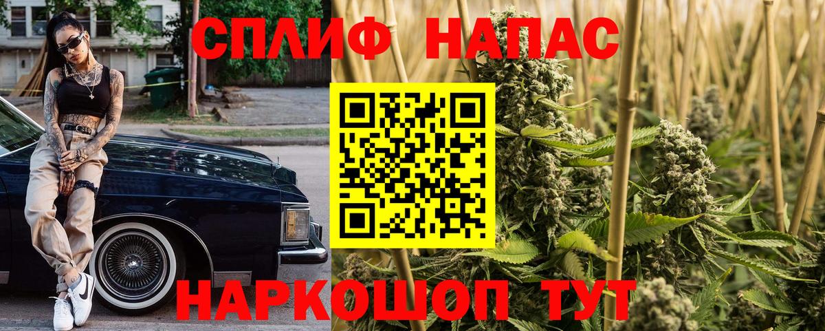 Канабис ГИДРОПОН  Марихуана планчик  МАРИХУАНА Amnesia  Вход с VPN  Пенза 